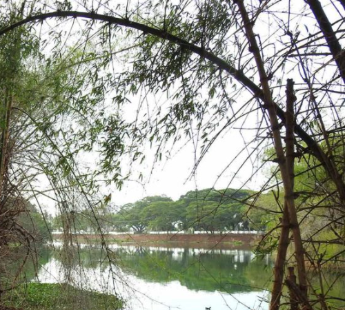 Krishnampathy Lake